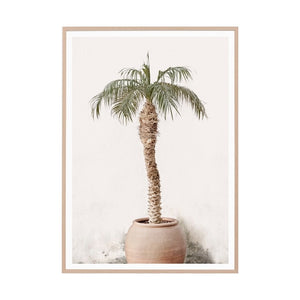 Potted Palm Print
