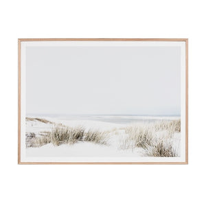 Sand Reed Dunes Print